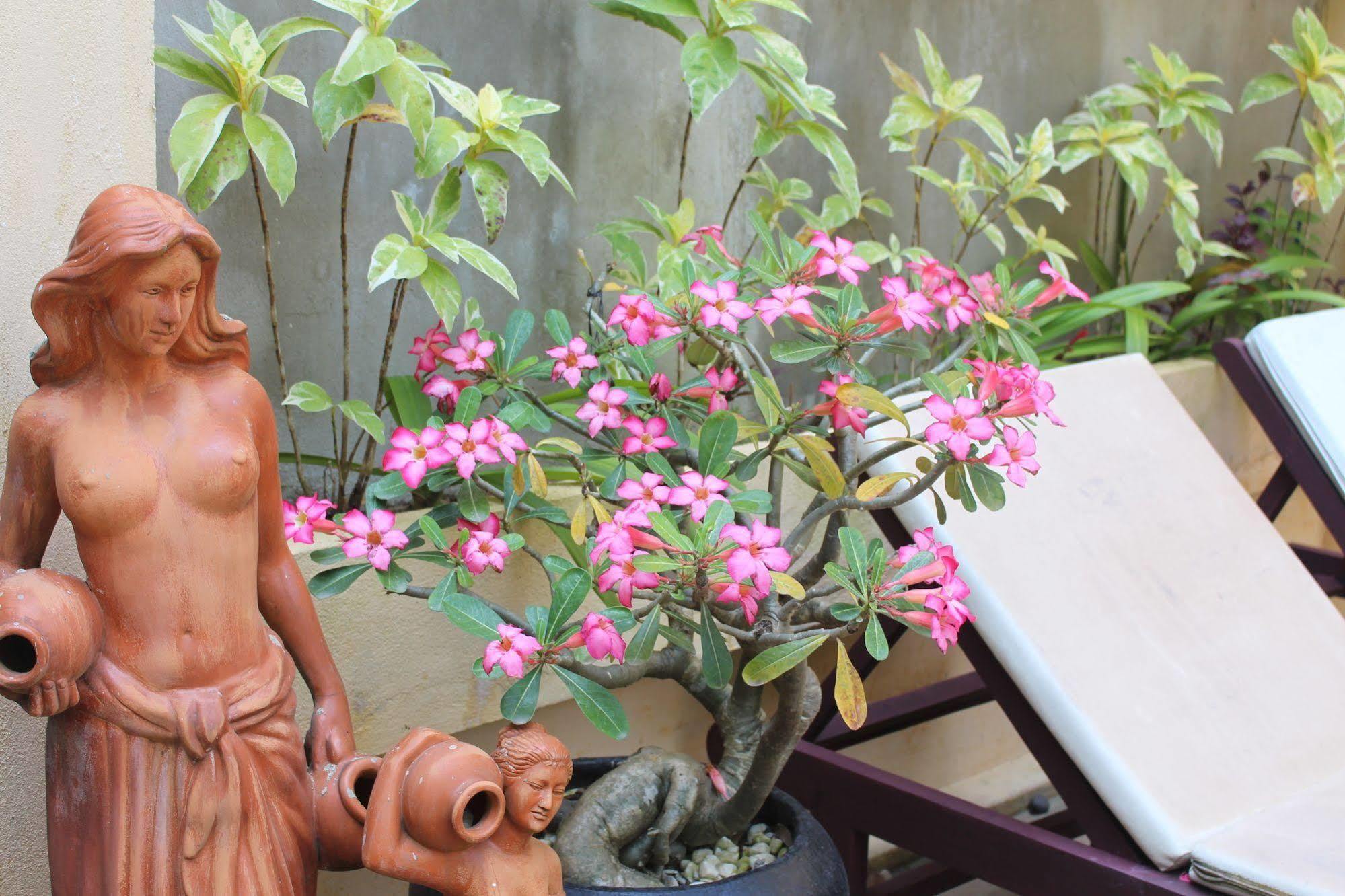 Riverside Oasis Villa Hoi An Luaran gambar
